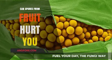 Fruit Spores: Are They Harmful to Your Health?