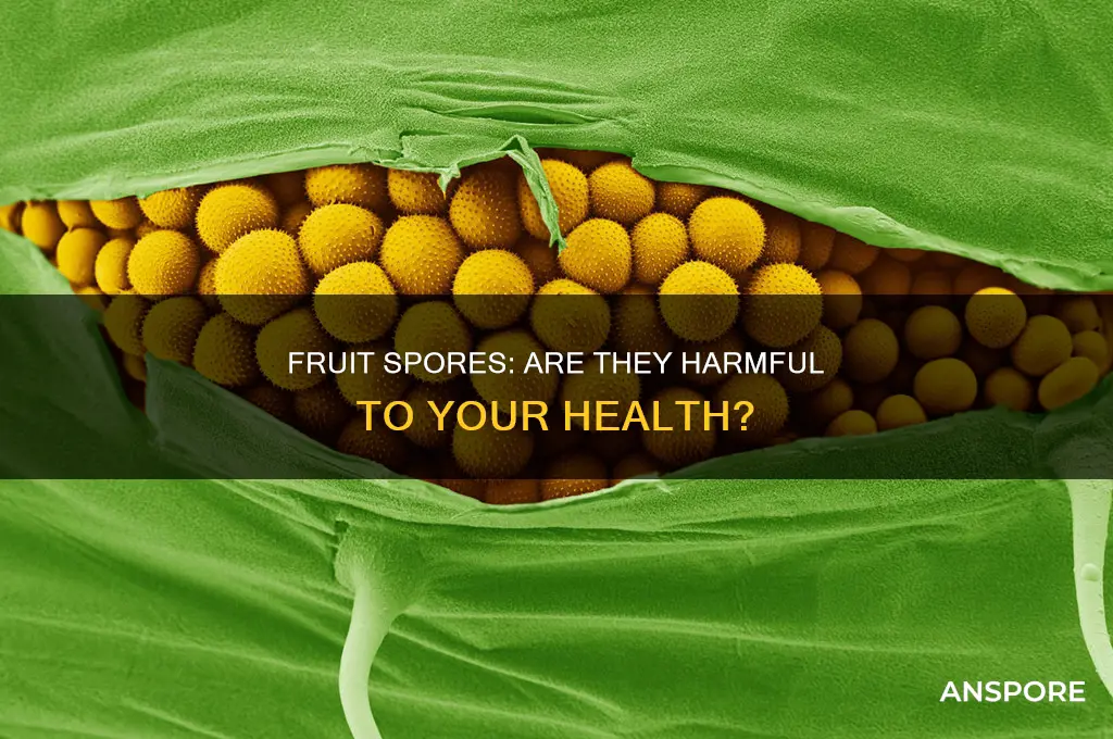 can spores from fruit hurt you