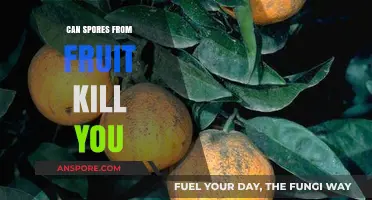 Deadly Spores: Can Fruit Molds Pose a Fatal Threat?