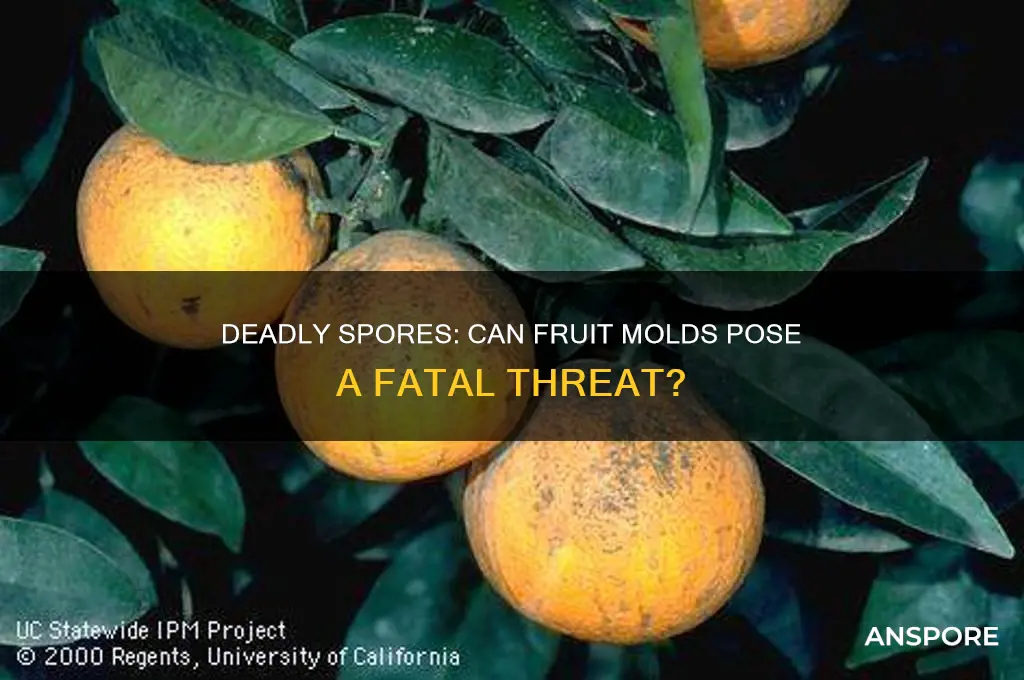 can spores from fruit kill you
