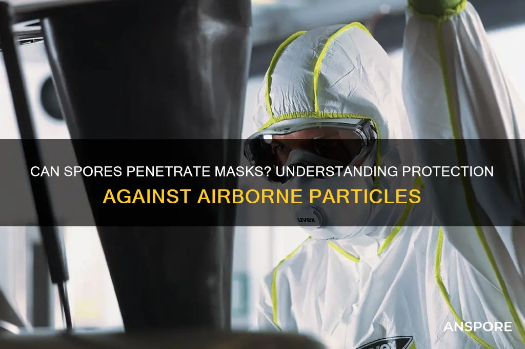 can spores go through a mask