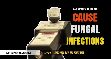 Airborne Spores: Unseen Threats and Fungal Infection Risks Explained