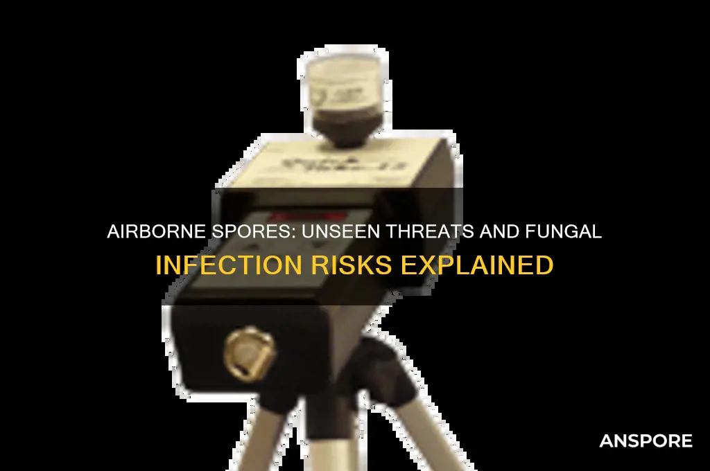 can spores in the air cause fungal infections