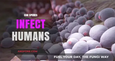 Can Spores Infect Humans? Understanding Risks and Prevention Methods