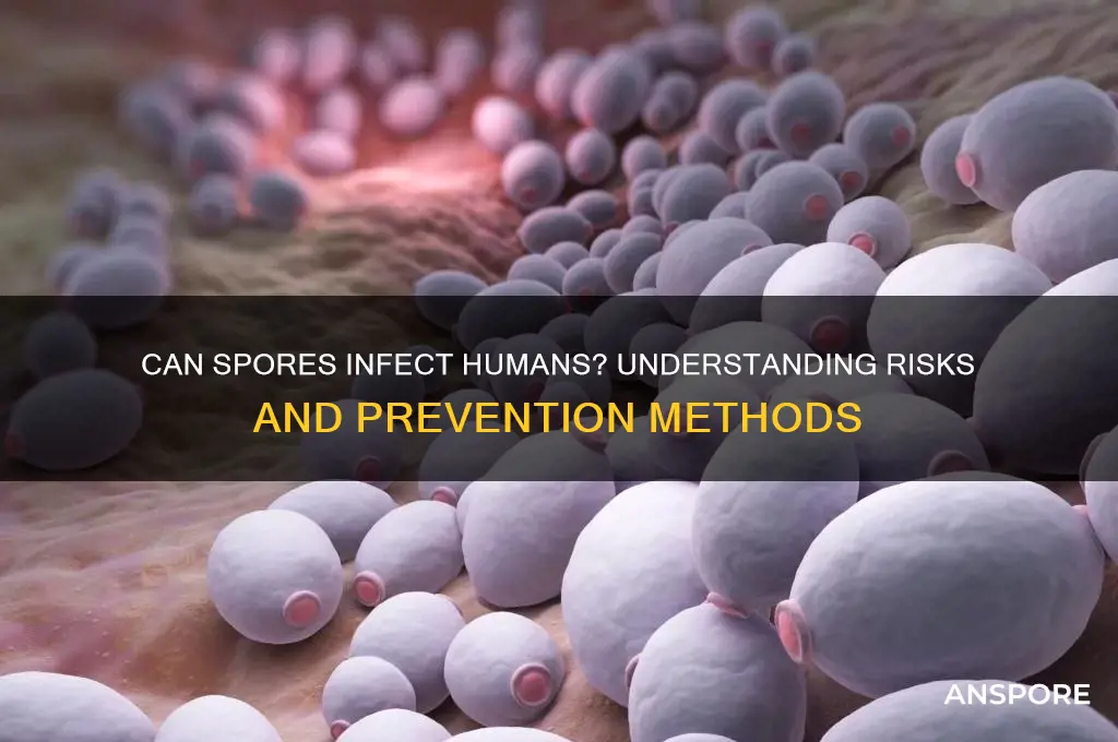 can spores infect humans