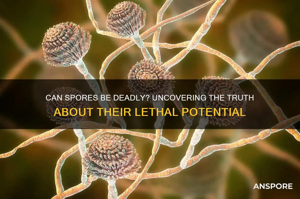 can spores kill you