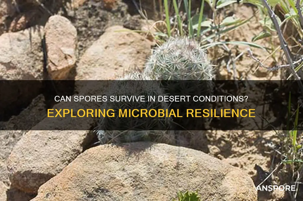 can spores live in a desert