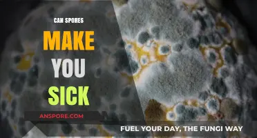 Can Spores Make You Sick? Understanding Health Risks and Prevention