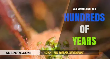 Can Spores Survive Dormant for Centuries? Unlocking Nature's Time Capsule