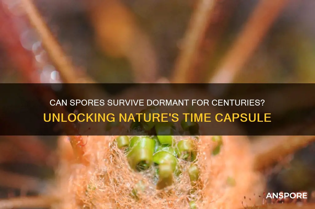 can spores rest for hundreds of years