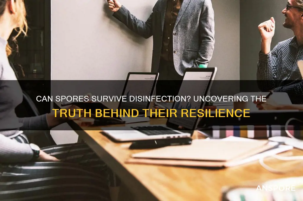 can spores survive disinfection