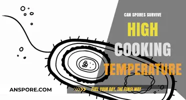 Do Spores Survive High Cooking Temps? Uncovering Food Safety Myths