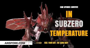 Subzero Survival: Can Spores Endure Extreme Cold Conditions?