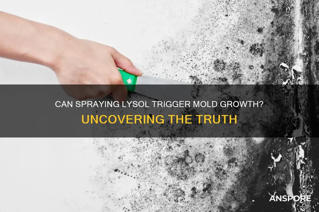 can spray lysol cause mold spores