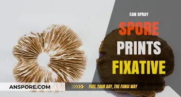 Can Spray Fixatives Preserve Spore Prints Effectively? A Detailed Guide