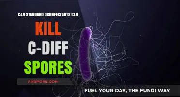 Can Standard Disinfectants Effectively Eliminate C-Diff Spores? A Deep Dive