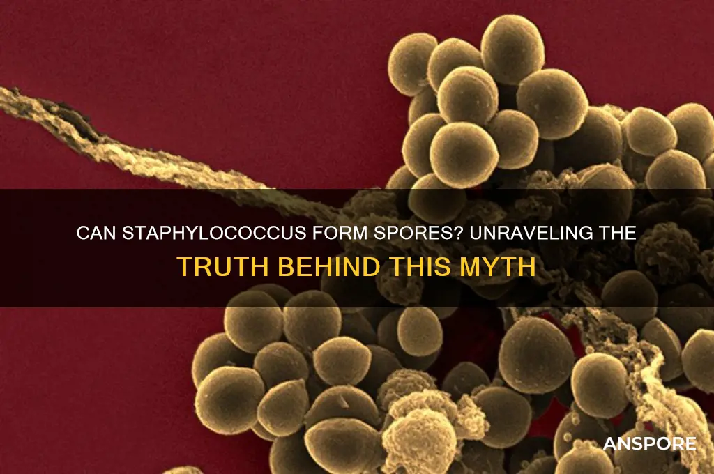 can staphylococcus form spores