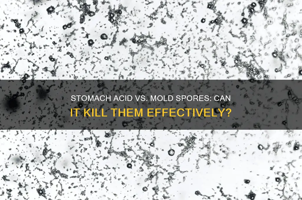 can stomach acid kill mold spores