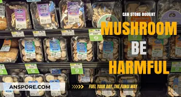 Are Store-Bought Mushrooms Safe? Potential Risks and Benefits Explained