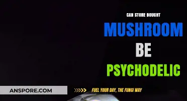 Are Store-Bought Mushrooms Psychedelic? Unveiling the Truth Behind Your Groceries