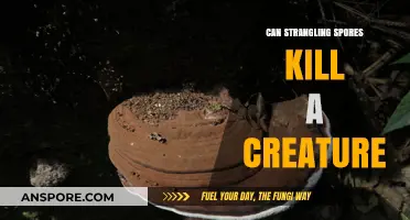 Strangling Spores: Lethal Threat or Harmless Fungus for Creatures?