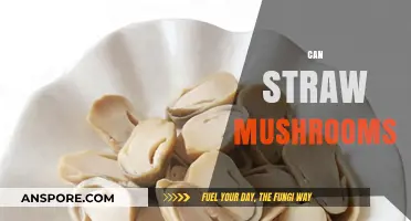Preserving Straw Mushrooms: A Beginner's Guide to Canning at Home