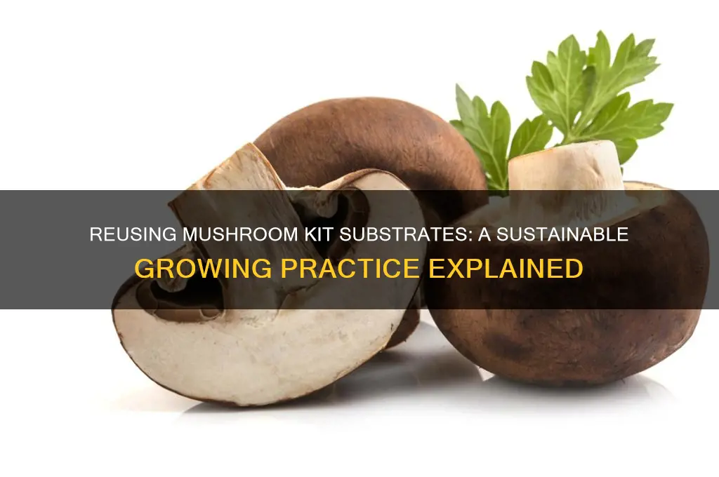 can substrates be reuse mushroom kit