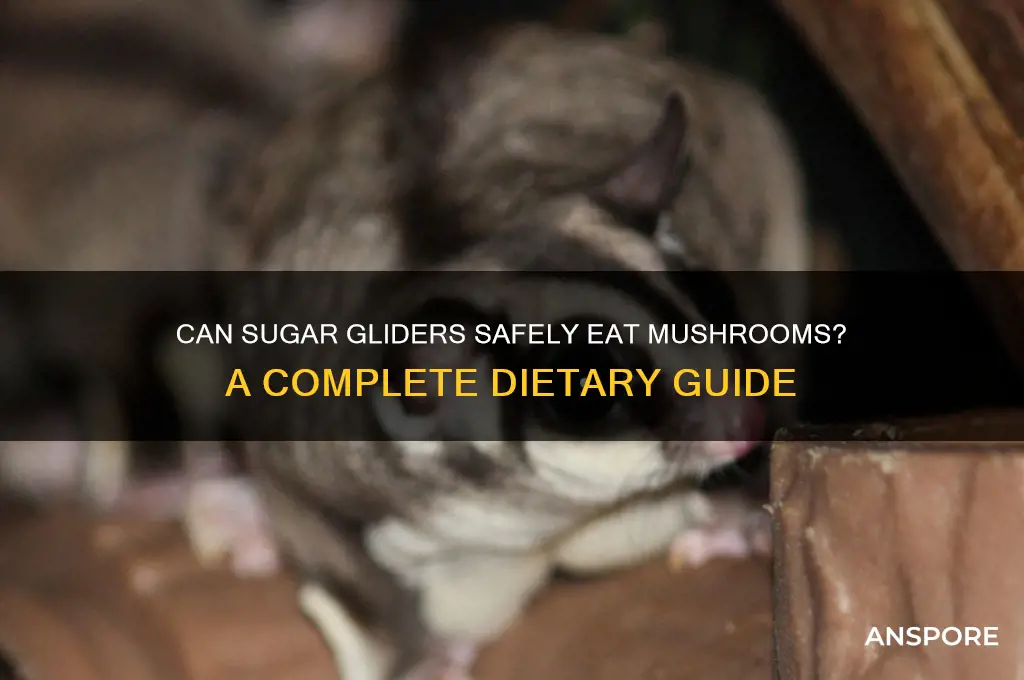 can sugar gliders eat mushrooms