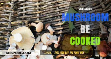 Can Suicide Mushrooms Be Cooked? Exploring the Dangers and Myths