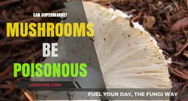 Are Supermarket Mushrooms Safe? Poison Risks Explained