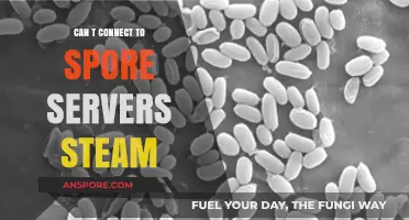 Troubleshooting Steam: Why Can't You Connect to Spore Servers?