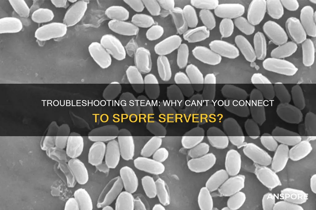 can t connect to spore servers steam