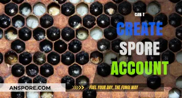 Troubleshooting Tips: Why You Can't Create a Spore Account