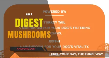 Why Some People Struggle to Digest Mushrooms: Causes and Solutions