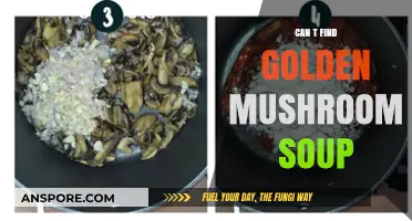 Where to Find Golden Mushroom Soup: A Tasty Treasure Hunt