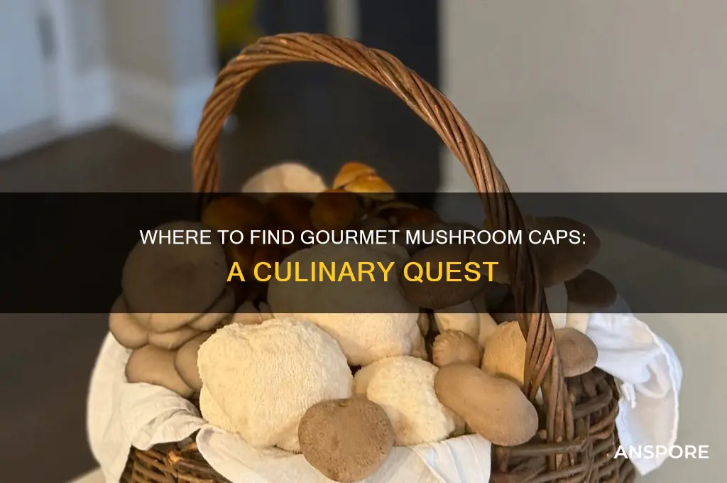 can t find gourmet mushroom caps