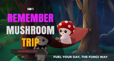 Forgotten Mushroom Journey: Unraveling the Mystery of a Lost Psychedelic Trip