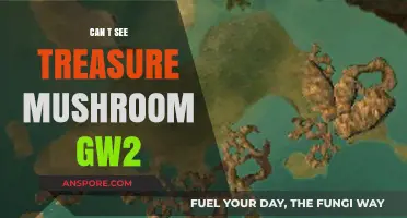 Where’s the Treasure Mushroom in GW2? Tips to Spot It