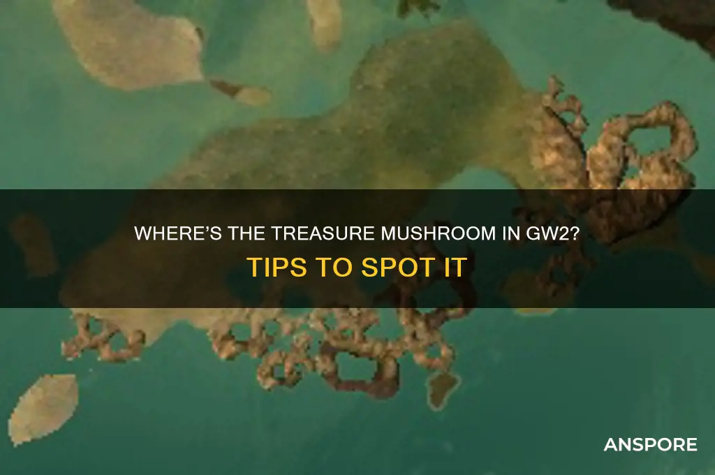 can t see treasure mushroom gw2