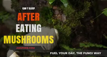 Post-Mushroom Insomnia: Why Can't You Sleep After Eating Mushrooms?