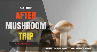 Post-Mushroom Insomnia: Understanding Sleep Struggles After a Psychedelic Trip