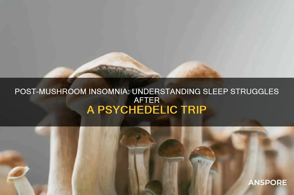 can t sleep after mushroom trip