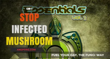 Can't Stop Infected Mushroom: Exploring Their Irresistible Psychedelic Trance Beats