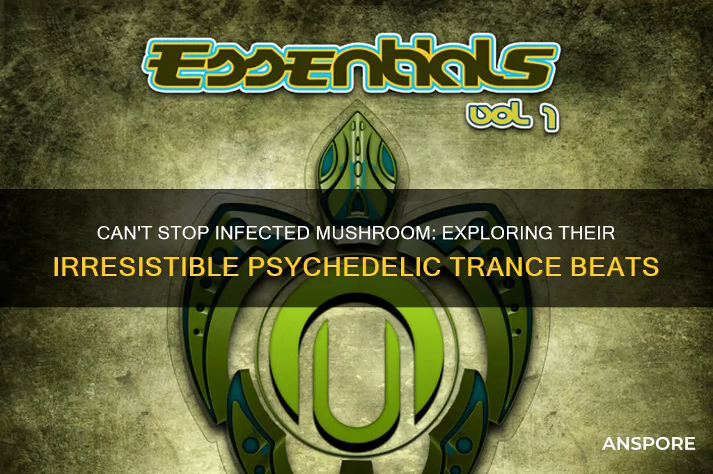 can t stop infected mushroom