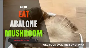 Can Type 2 Diabetics Safely Enjoy Abalone Mushrooms? A Guide