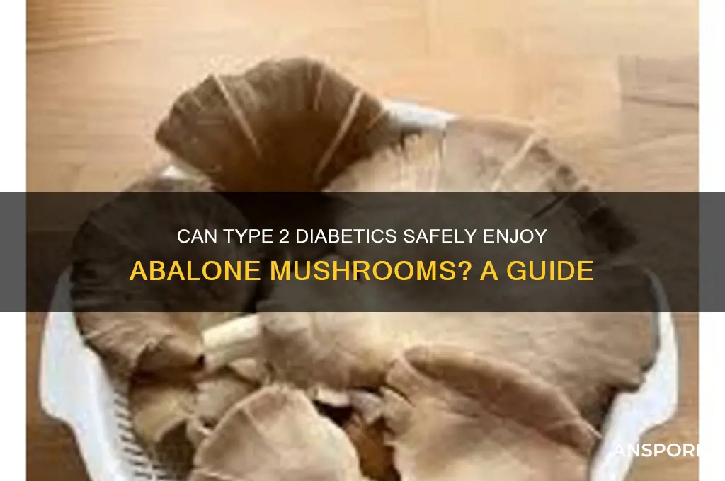 can t2d eat abalone mushroom