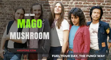 Exploring the Mystical World of Tago Mago Mushrooms: Benefits and Uses