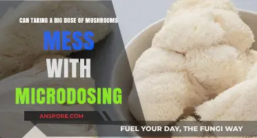 Big Dose vs. Microdosing: How Mushrooms Impact Your Brain Differently