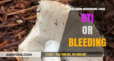 Mushrooms and UTIs: Unraveling the Link to Infections and Bleeding