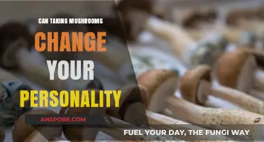 Mushrooms and Mind: Unveiling Personality Shifts from Psychedelic Experiences